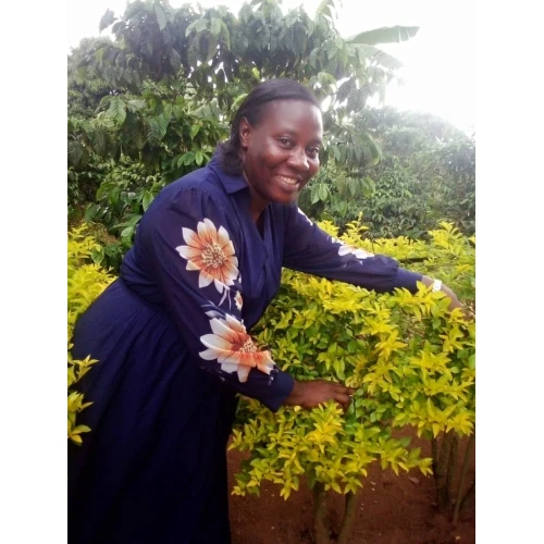 NJAKUGENDA